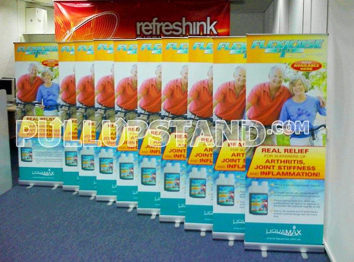 PULL UP STAND BUDGET SERIES - Pullupstand.com Pte Ltd