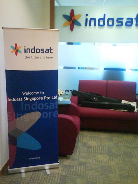 PULL UP STAND BUDGET SERIES - Pullupstand.com Pte Ltd