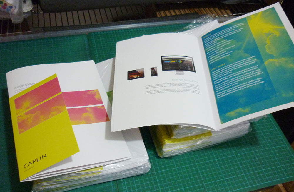 Professional Booklet and Book Printing ServicesProfessional Booklet and Book Printing Services